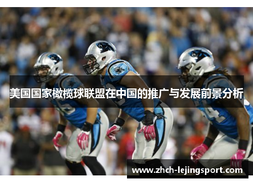 美国国家橄榄球联盟在中国的推广与发展前景分析