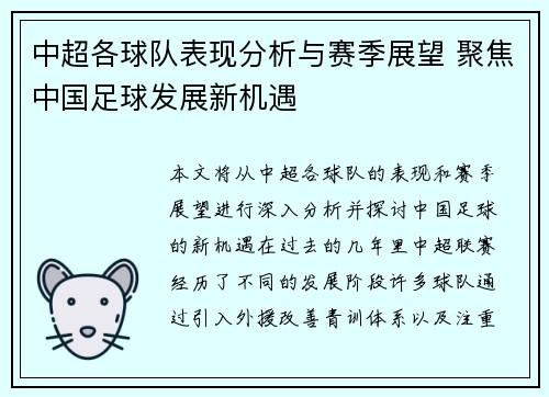 中超各球队表现分析与赛季展望 聚焦中国足球发展新机遇