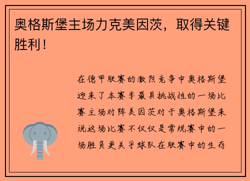 奥格斯堡主场力克美因茨，取得关键胜利！