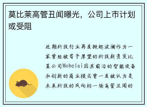 莫比莱高管丑闻曝光，公司上市计划或受阻